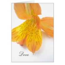 Deva cards