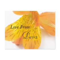 Deva postcards by lollypopgirrrl Deva postcards