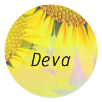 Deva stickers