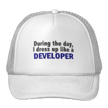 Developer During The Day Trucker Hats