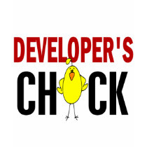 Developer’s Chick 1 t-shirts