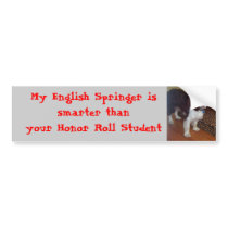 DEVIL DOG 007, My English Springer is smarter t... bumper stickers by debtravel DEVIL DOG 007, My English Springer is smarter t... bumper stickers