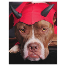 Devil Pit letterhead