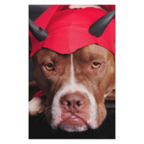 Devil Pit stationery