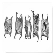 devil purses posters by stanthos devil purses posters