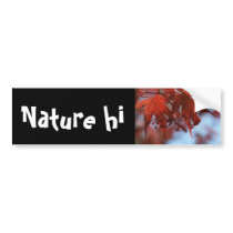 devils and angels bumper stickers