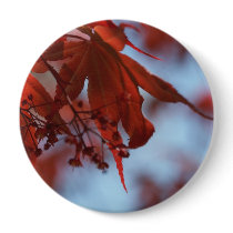 devils and angels pins