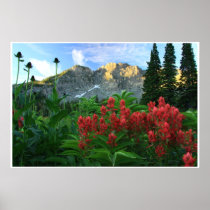 Devil's Castle Wildflowers posters