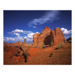Devil's Garden, Arches National Park Photo