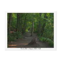 Devils Hole Niagara Falls, NY postcards by mmszymanski Devils Hole Niagara Falls, NY postcards