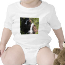 Devil's Kettle Falls t-shirts by fstasu50 Devil's Kettle Falls t-shirts
