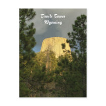 Devils Tower Postcard