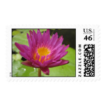Devin M.A. Medeiros stamps