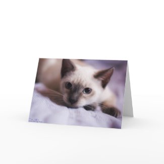 Deviously Cute Card card