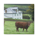 Devon, England Fridge Magnets