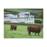 Devon, England Post Cards