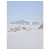 Devon Island, Northwest Territories Letterhead