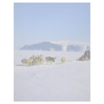 Devon Island, Northwest Territories Letterhead