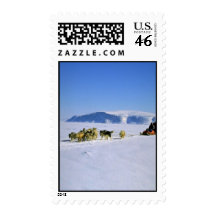 Devon Island, Northwest Territories Postage Stamps