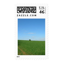 Devon Landscape Postage Stamp