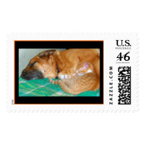 Devotion postage
