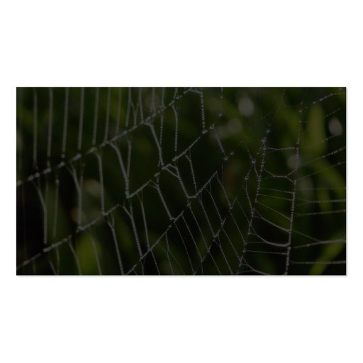 Dew And Spiderwebs Business Card (back side)