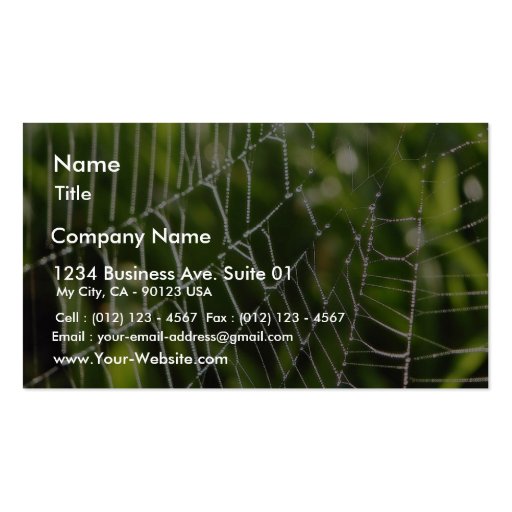 Dew And Spiderwebs Business Card (front side)