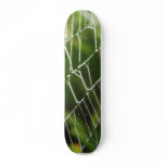 Dew And Spiderwebs Skate Decks