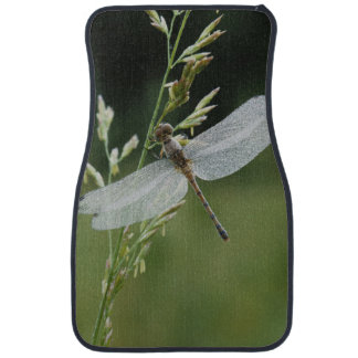 Dragonfly Car Mats Release Date, Price and Specs Dragonfly Car Mats Release Date, Price and Specs