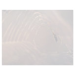 Dew-covered spider and web custom letterhead