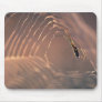 Dew-covered spider and web mousepads