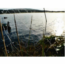 Dew Covered Spider Web Above Water photo sculptures