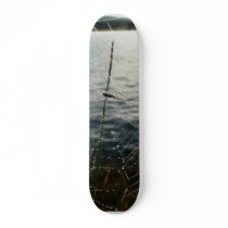 Dew Covered Spider Web Above Water skateboards by lifesphere Dew Covered Spider Web Above Water skateboards