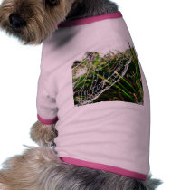 Dew Covered Spider Web On Grass pet clothing by lifesphere Dew Covered Spider Web On Grass pet clothing