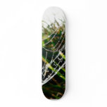 Dew Covered Spider Web On Grass Skate Deck