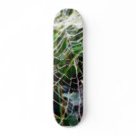 Dew Covered Spider Web Skate Board Deck