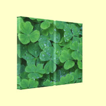 Dew Drenced Clovers Macro Photo Wall Art canvas prints