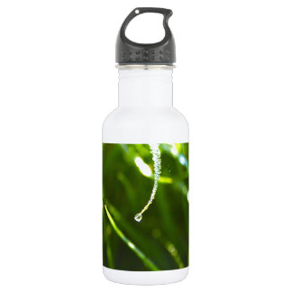 dew drop water bottle