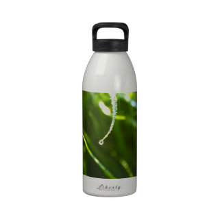 dew drop water bottle