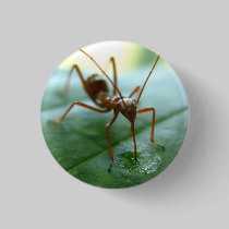 "Dew Drop Drink" Eco Pin buttons