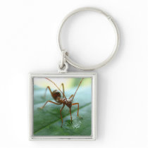Dew Drop Drink Keychain