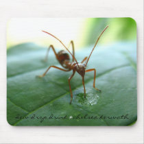"Dew Drop Drink" mousepad by ChelseaKerwath "Dew Drop Drink" mousepad