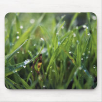 Dew Drop Grass Mousemat mousepads