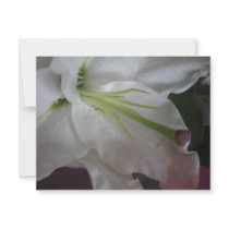 Dew Drop invitations by catsirish Dew Drop invitations