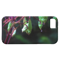Dew Drop casemate cases