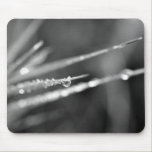 Dew Drop on Grass Mouse Pad mousepads