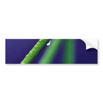 Dew Drop On Green Grass bumper stickers by lifesphere Dew Drop On Green Grass bumper stickers