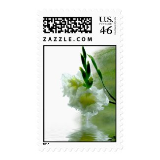 Dew Drop Postage stamp