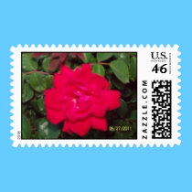 Dew Drop Rosa Europeana stamps