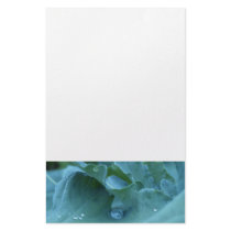 Dew Drop Stationery